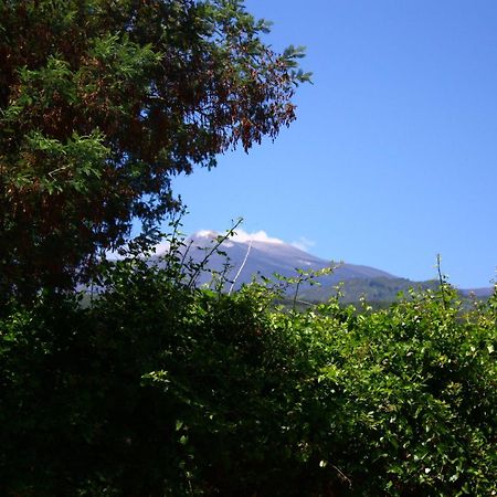 B&B Sotto I Pini Zafferana Etnea Bagian luar foto