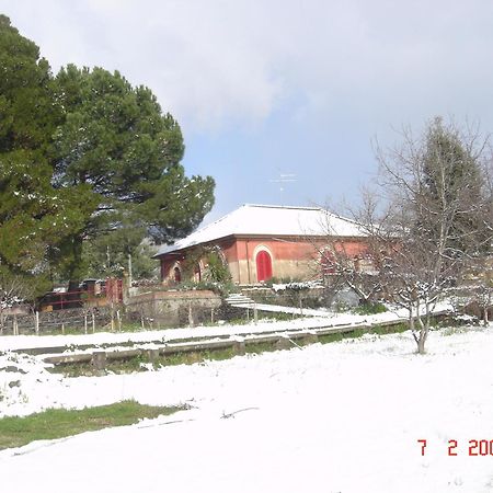 B&B Sotto I Pini Zafferana Etnea Bagian luar foto