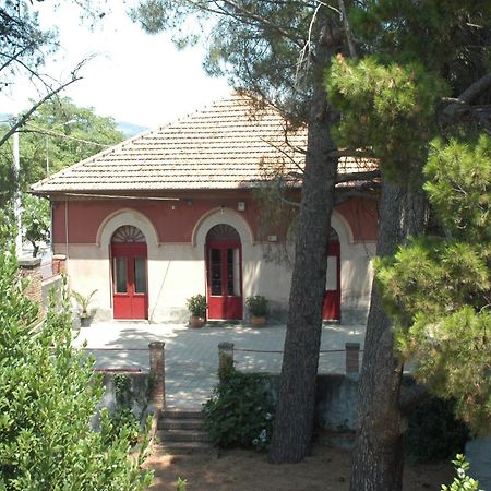 B&B Sotto I Pini Zafferana Etnea Bagian luar foto