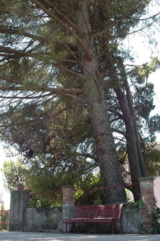 B&B Sotto I Pini Zafferana Etnea Bagian luar foto