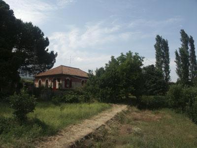 B&B Sotto I Pini Zafferana Etnea Bagian luar foto