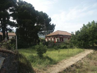 B&B Sotto I Pini Zafferana Etnea Bagian luar foto