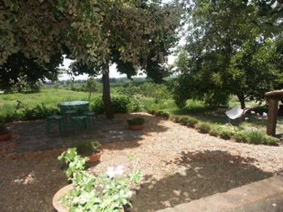 B&B Sotto I Pini Zafferana Etnea Bagian luar foto